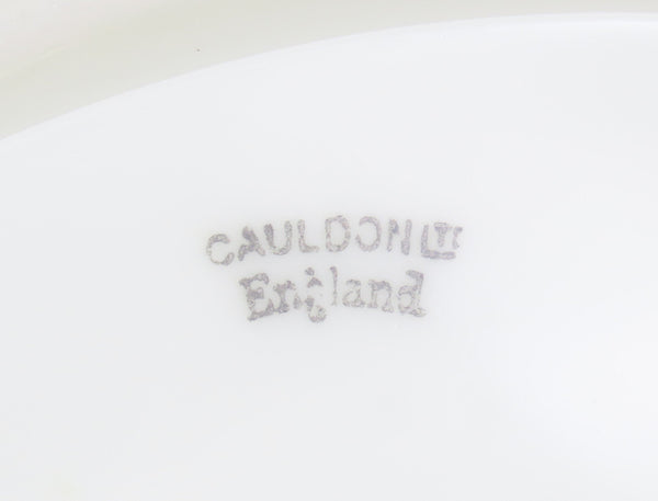 10 Pretty Cauldon Porcelain Cobalt Wide Rimmed Soup Bowl 6228