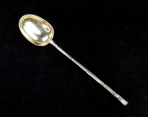 Rare 1891 Danish Silver Aesthetic Movement Branch and Ladybug Serving Spoon