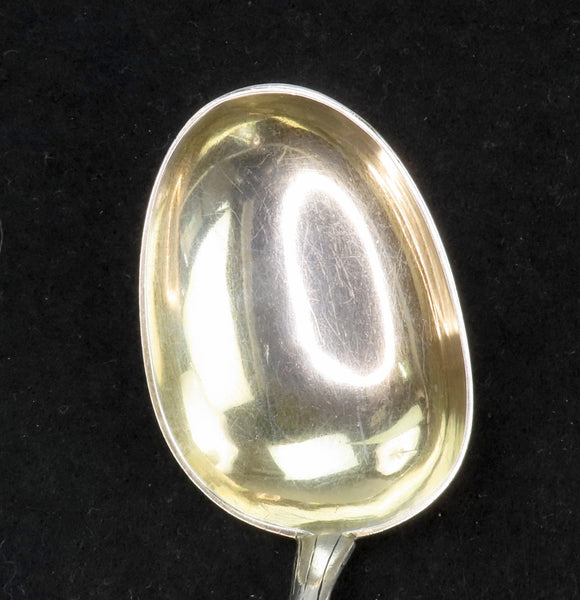 Rare 1891 Danish Silver Aesthetic Movement Branch and Ladybug Serving Spoon