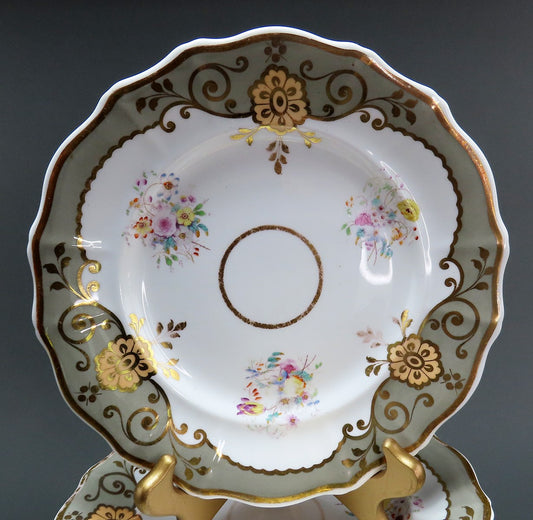 Fine set 17 English Staffordshire Davenport Sage Green Floral Gilt 9.5" Plates