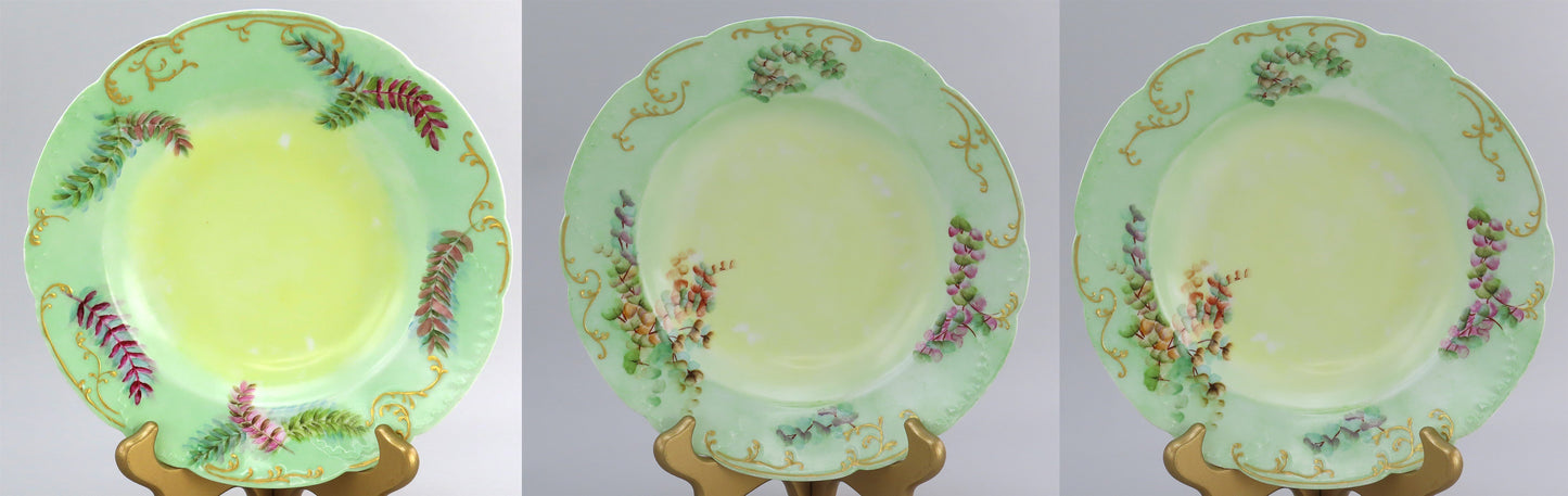 Nice Set 12 c1890 Haviland Limoges Green Hand Painted Floral Wide Rim Soup Bowls
