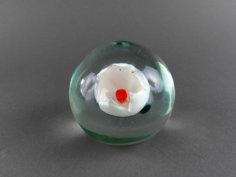 Elegant Hand-Blown Glass Round Paperweight White Tulip Angled