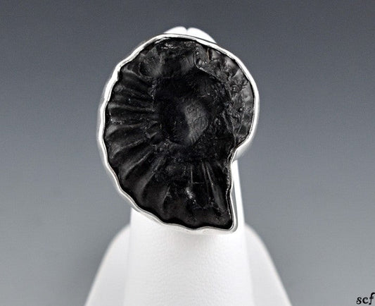 Neat Sterling Silver Trilobite/Ammonite Fossil Stone Ring Size 4