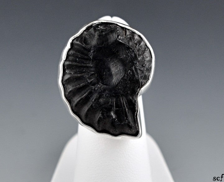 Neat Sterling Silver Trilobite/Ammonite Fossil Stone Ring Size 4