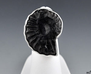 Neat Sterling Silver Trilobite/Ammonite Fossil Stone Ring Size 4
