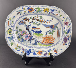Fine c1815 English Georgian Davenport Flying Bird Meat Fish Serving Platter