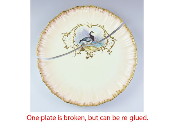 12 Bodley Hand Painted Game Bird Porcelain Plates