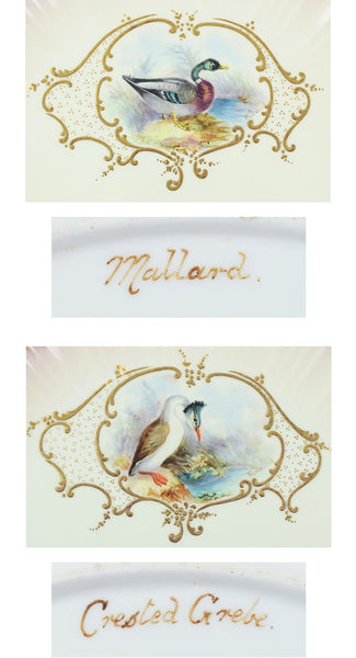 12 Bodley Hand Painted Game Bird Porcelain Plates