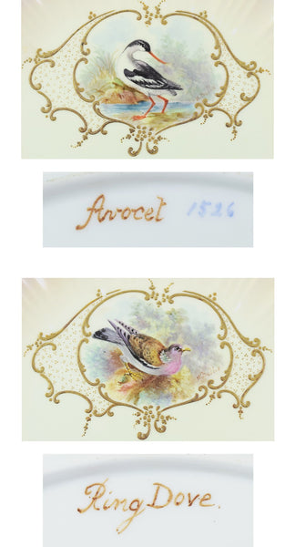 12 Bodley Hand Painted Game Bird Porcelain Plates