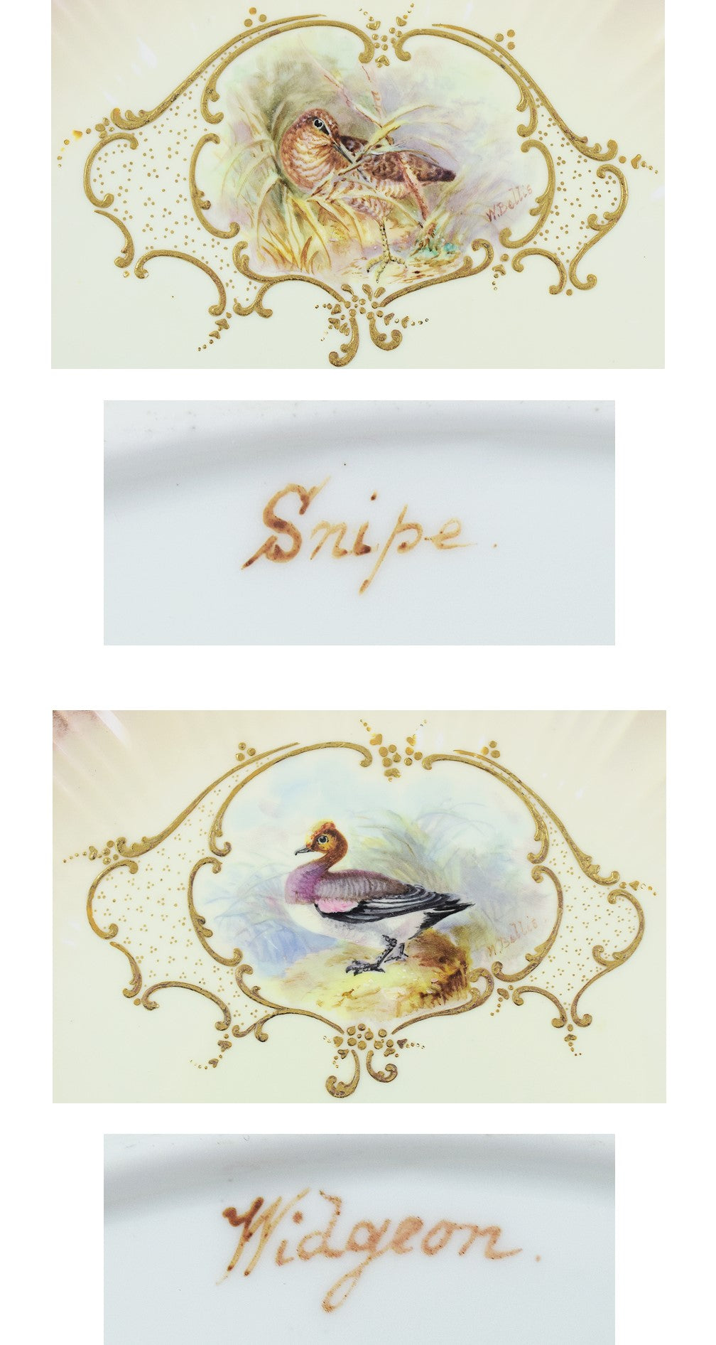 12 Bodley Hand Painted Game Bird Porcelain Plates