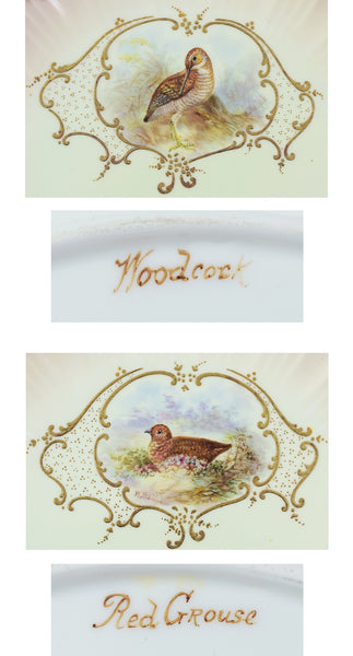 12 Bodley Hand Painted Game Bird Porcelain Plates