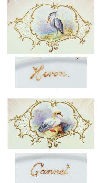12 Bodley Hand Painted Game Bird Porcelain Plates