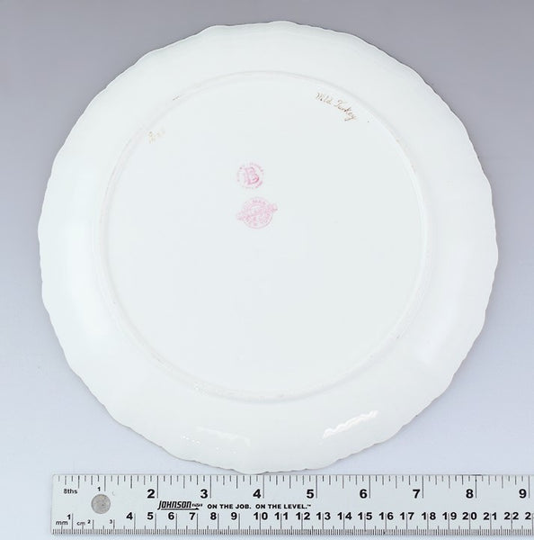 12 Bodley Hand Painted Game Bird Porcelain Plates
