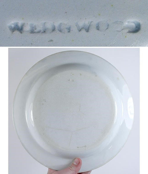 11 Early 19th Century Old Production Wedgwood Classic Pearlware Plates