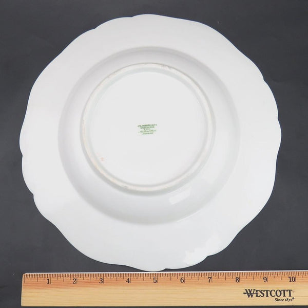 10 Antique 19th Century Chamberlain's Worcester Porcelain Soup/Cereal Bowls