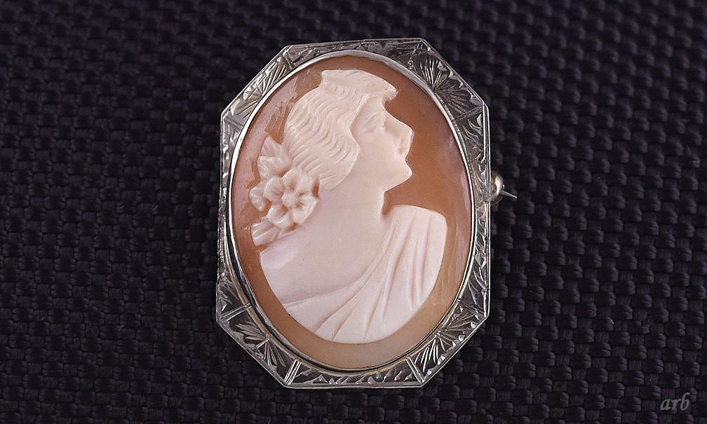 Lovely Old Edwardian 10k White Gold Carved Shell Cameo Lady Profile Pin