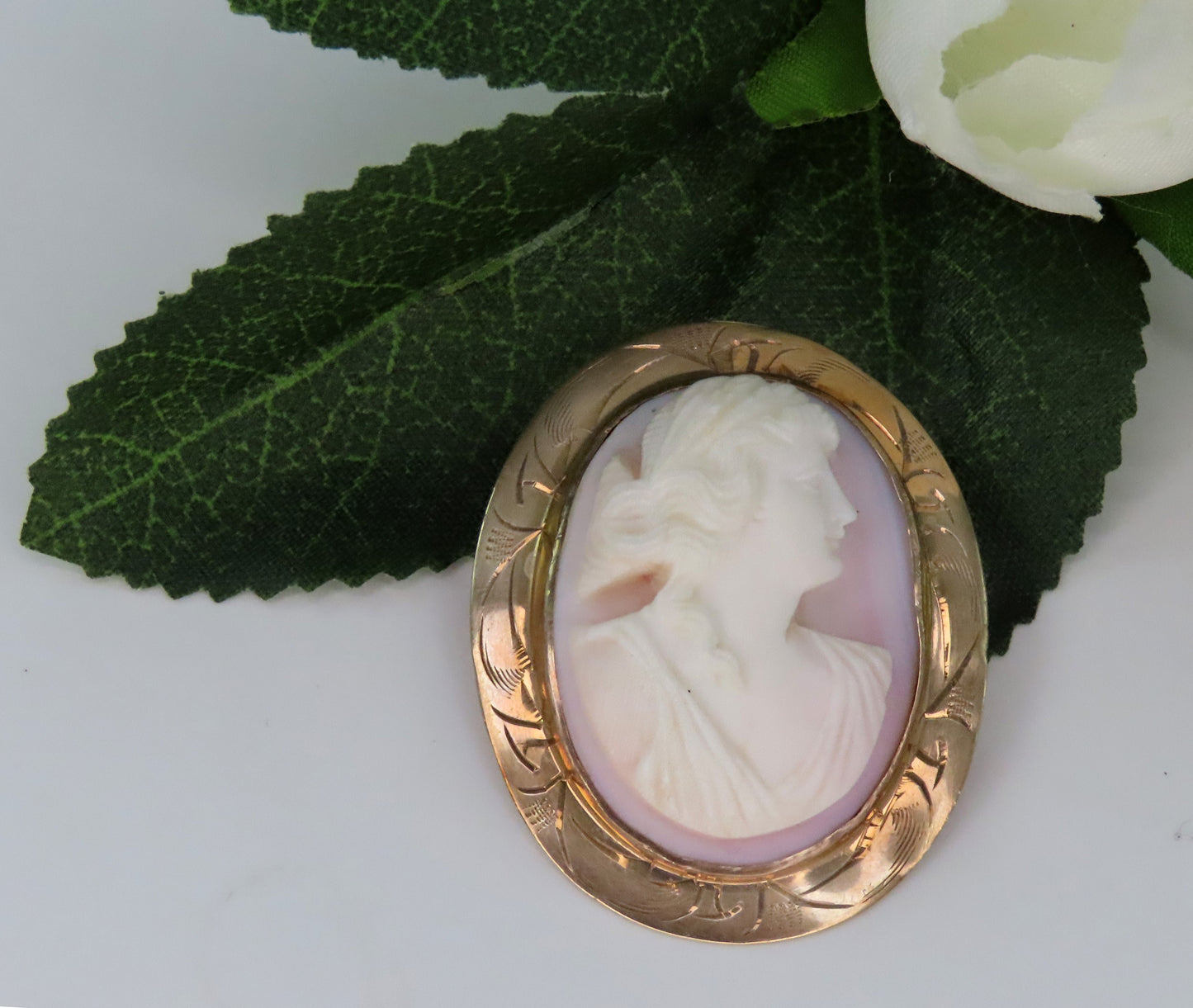 Fine Old 10k Yellow Gold and Carved Pink/White Shell Cameo Pin Engraved Border