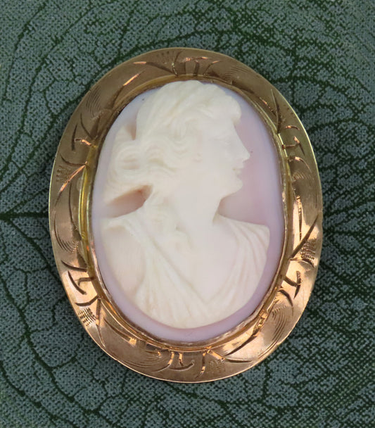 Fine Old 10k Yellow Gold and Carved Pink/White Shell Cameo Pin Engraved Border