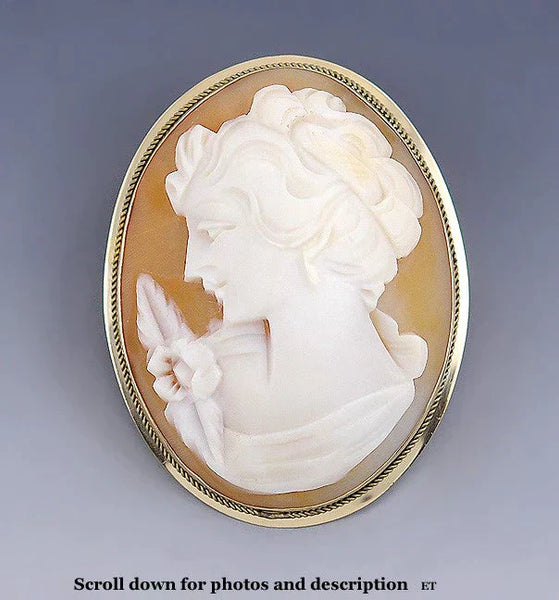 Wonderful 18k Gold Carved Shell Cameo Brooch Pin Pendant