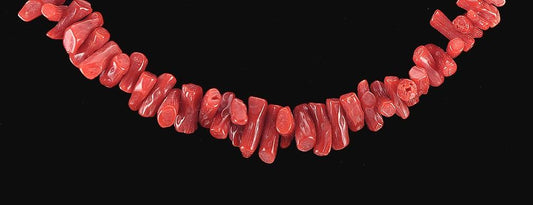 Late 1800s early 1900s Excellent Bright Red Branch Coral Clasp Necklace