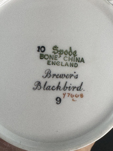 Charming Set Spode Bone China Songbird Bird Demitasse 8 Cups 9 Saucers