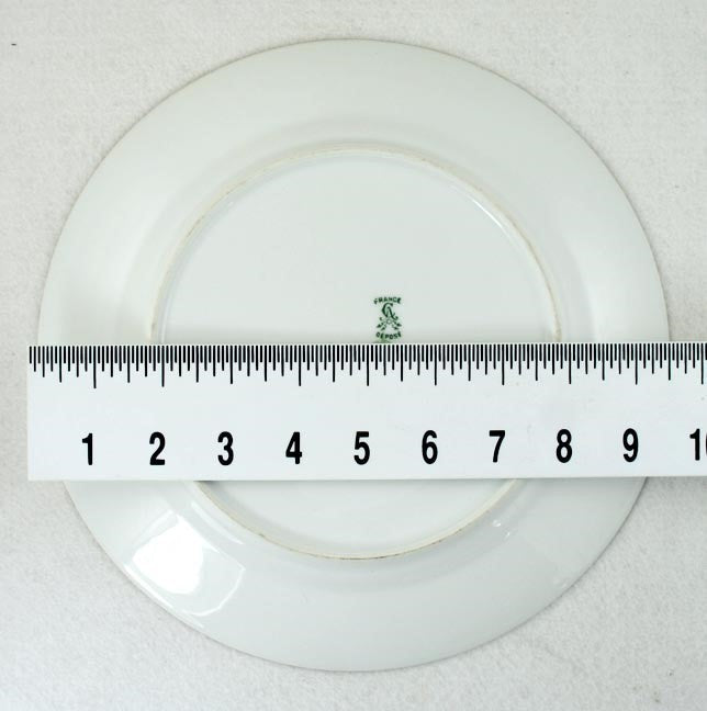 11 Ahrenfeldt Limoges Porcelain Rose Floral Plates