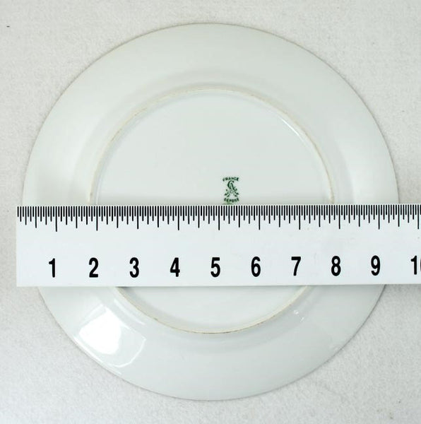 11 Ahrenfeldt Limoges Porcelain Rose Floral Plates