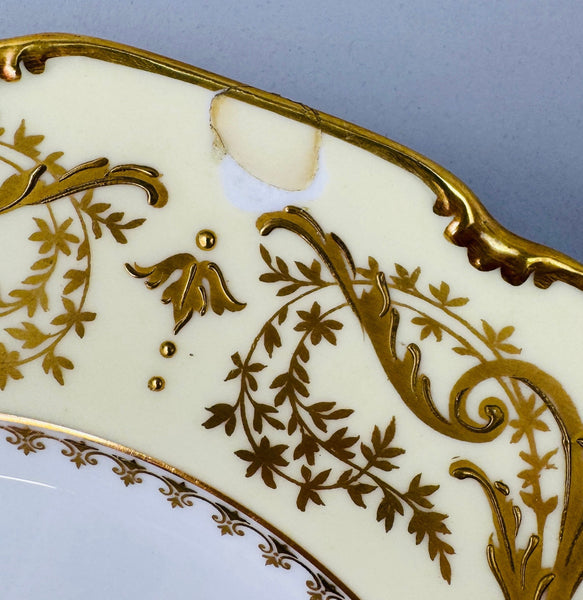 Ornate Set 12 c1910 Limoges French Gilt Dinner Plates Delinieres/Bernardaud