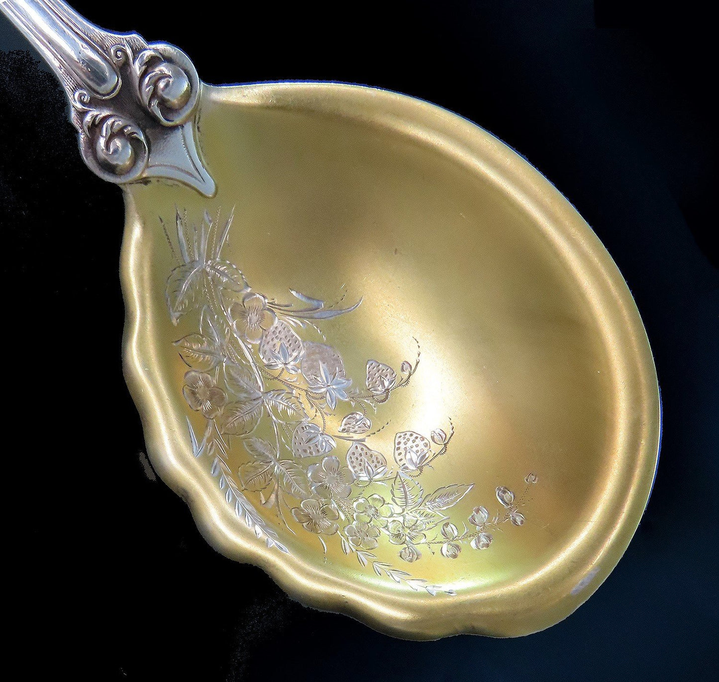 Fabulous Reed Barton Sterling Silver Serving Spoon Crisp Engravings 10 3/4"