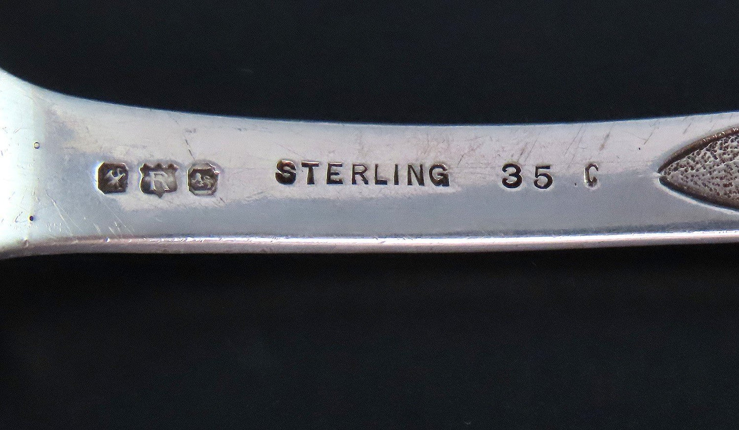 Fabulous Reed Barton Sterling Silver Serving Spoon Crisp Engravings 10 3/4"