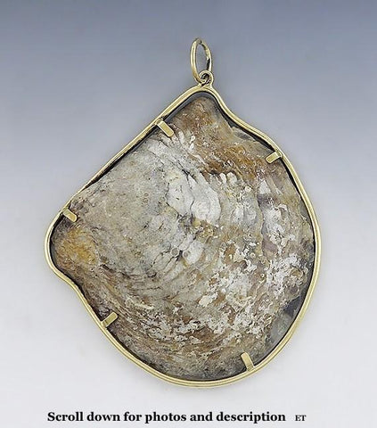 One of a Kind 18K Yellow Gold Natural Seashell Pearl Large Pendant