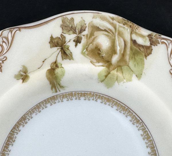 Set 11 Antique Hermann Ohme Silesia Poland Old Ivory 7.75" Salad Dessert Plates
