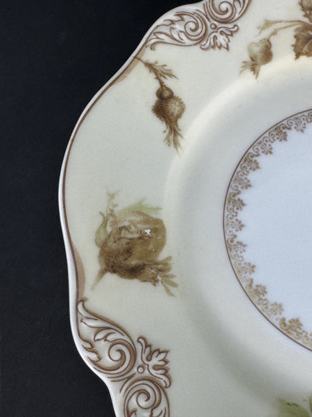 Great Set 10 Antique Ohme Silesia Poland Old Ivory 7.75" Salad Dessert Plates