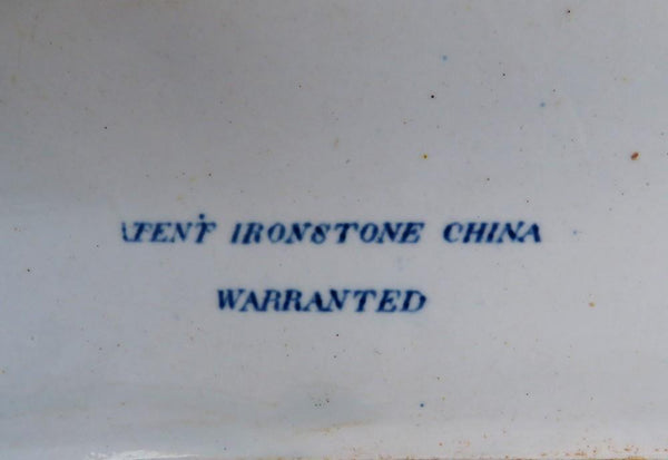 Rare c1840s English Ironstone Large Serving Platter w Grasshopper Design