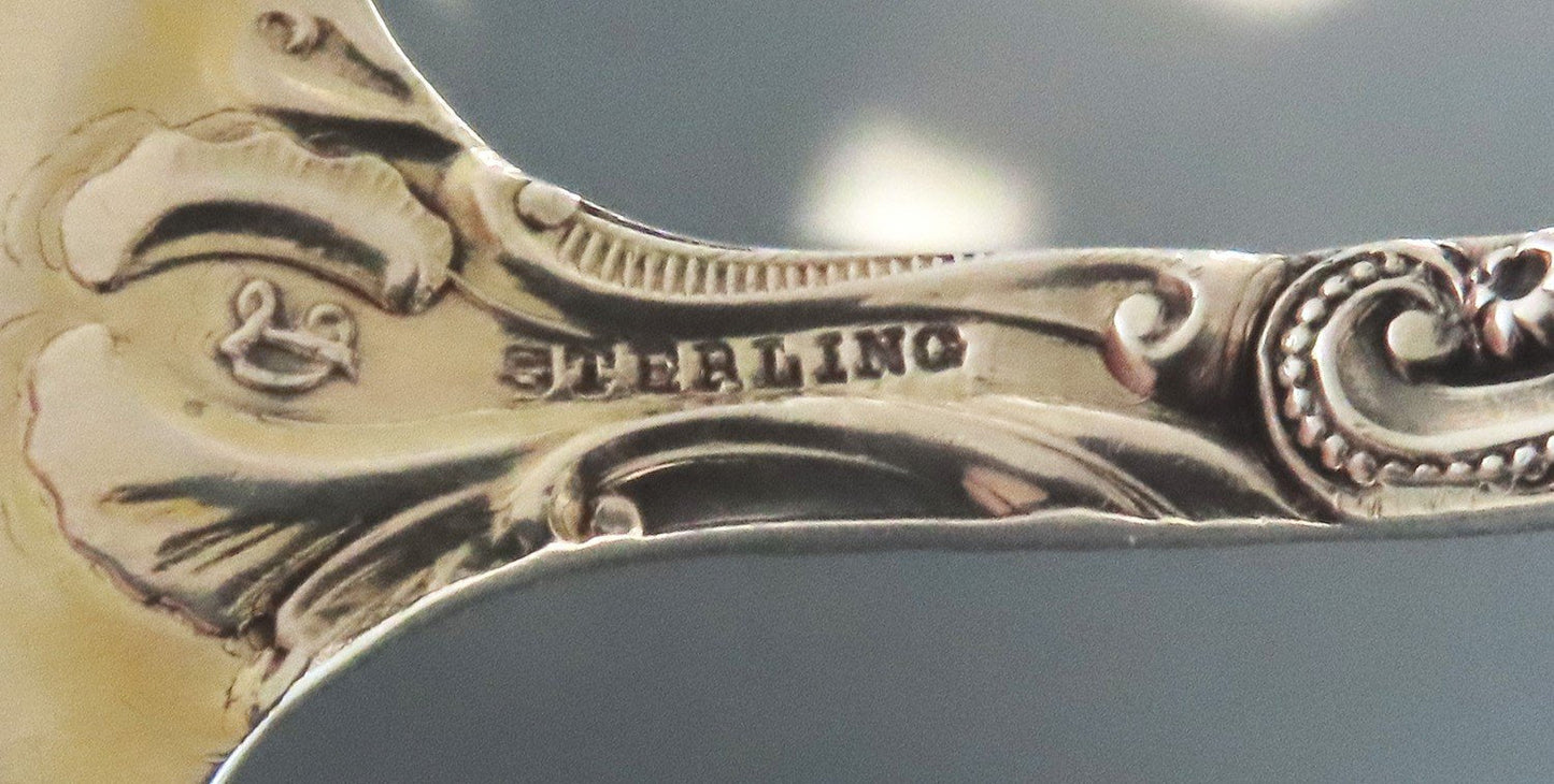 Handsome Durgin Louis XV Sterling Silver Large Asparagus Fork 8 5/8"