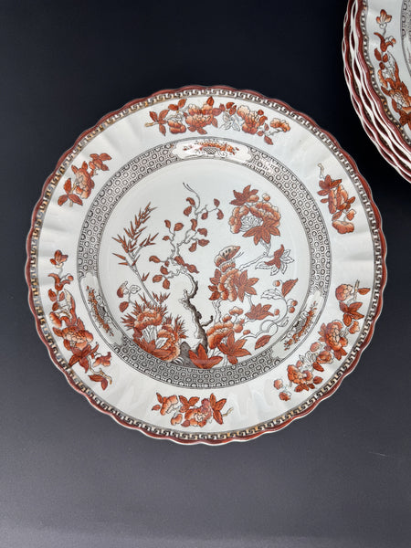 6 Large Old Copeland Spode India Tree dinner plates 10 1/4 inches