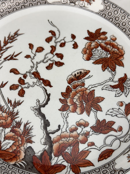 6 Large Old Copeland Spode India Tree dinner plates 10 1/4 inches