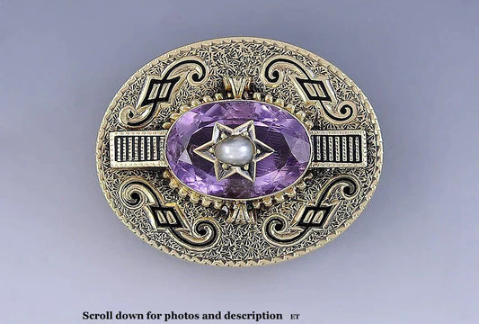 Mid 1800s Victorian Etruscan Revival 14k Amethyst Pearl Enamel Brooch/Pin