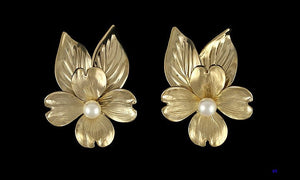 Sweet 14K Yellow Gold Pearl Dogwood Flower Screwback Earrings Harry S. Bick