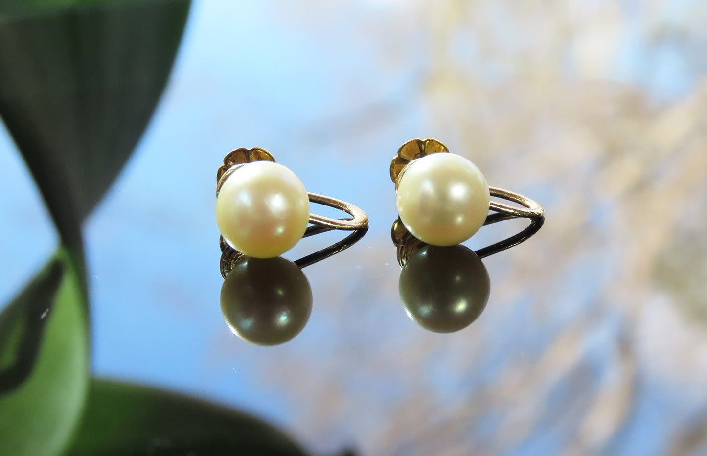 Beautiful VTG 14k Yellow Gold ~7.4mm Pearl Screwback Earrings c1950s