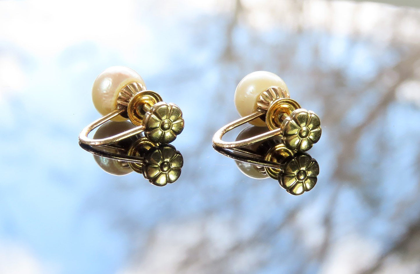 Beautiful VTG 14k Yellow Gold ~7.4mm Pearl Screwback Earrings c1950s