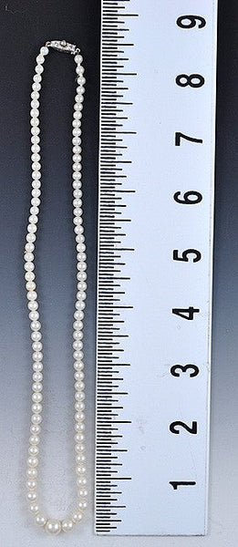 Great Quality Graduated Pearl Necklace Silver Clasp