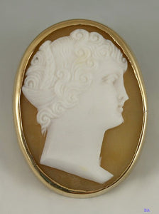 Antique Carved Shell Cameo & 14k Yellow Gold Pin Brooch