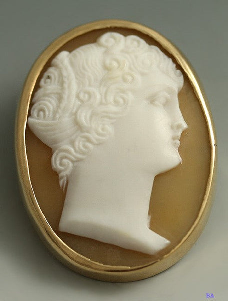 Antique Carved Shell Cameo & 14k Yellow Gold Pin Brooch