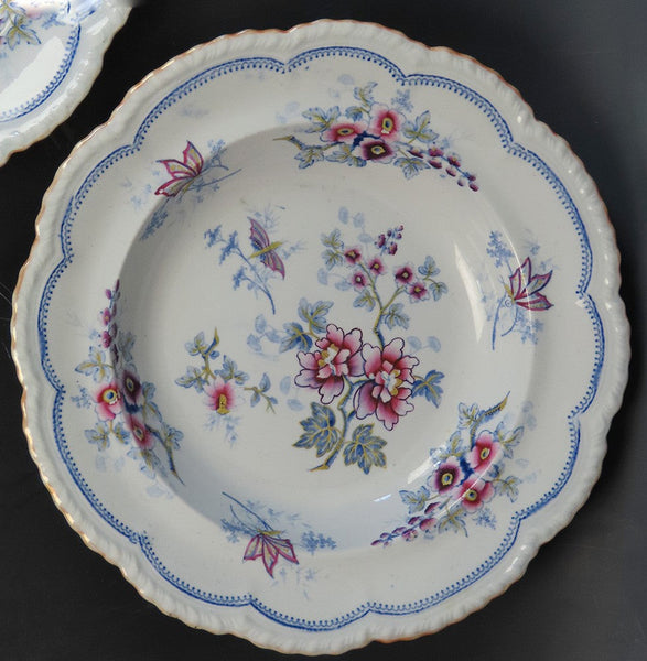 Fab set 8 c1840 English Staffordshire Ridgway Japan Flowers Wide Rim Soup Bowls