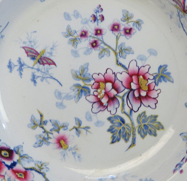 Fab set 8 c1840 English Staffordshire Ridgway Japan Flowers Wide Rim Soup Bowls