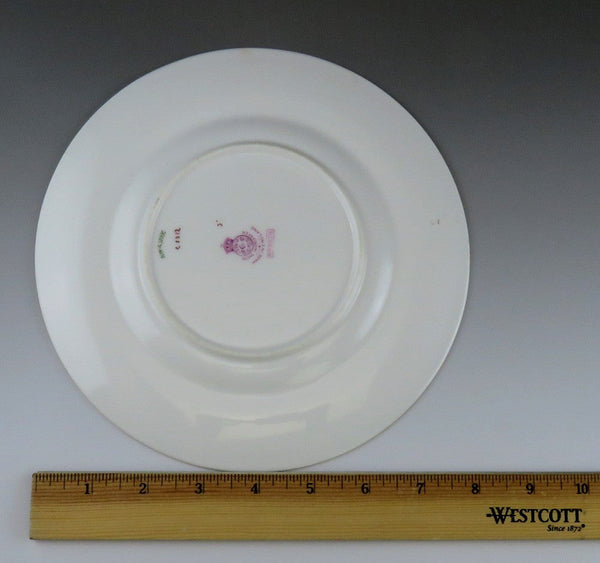 12 Antique 1924 Royal Worcester Puritan Porcelain China Dessert Salad Plates 8"