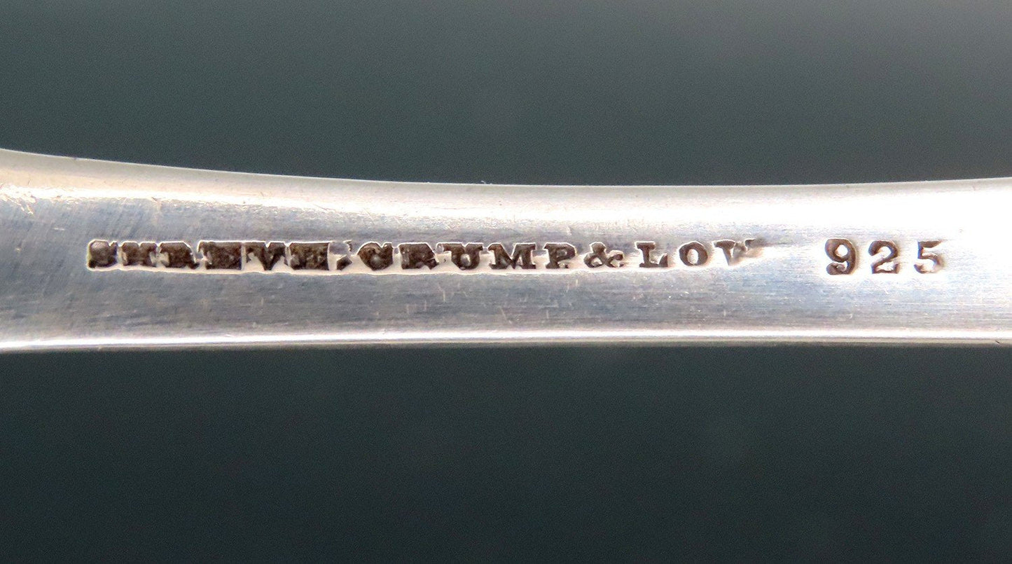Pretty 1870s Sterling Silver Pie Server Great Engravings 9"