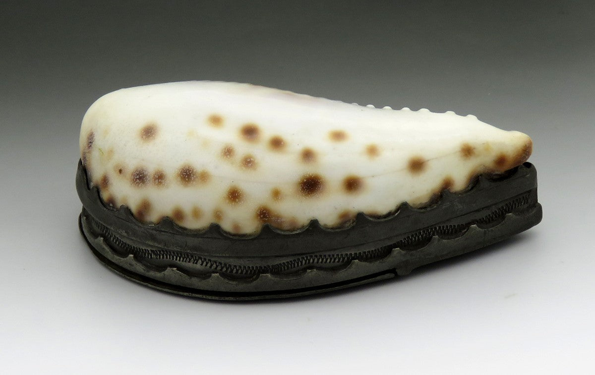 Antique Georgian 18th Century Natural Cowrie Shell Pewter Hinged Lid Snuff Box