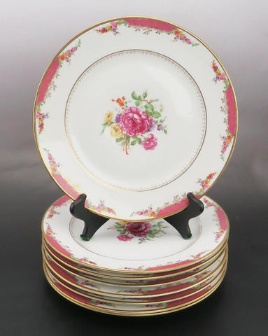 8 Vintage Rosenthal Bavaria German Porcelain Floral Motif Dinner Plates 11"